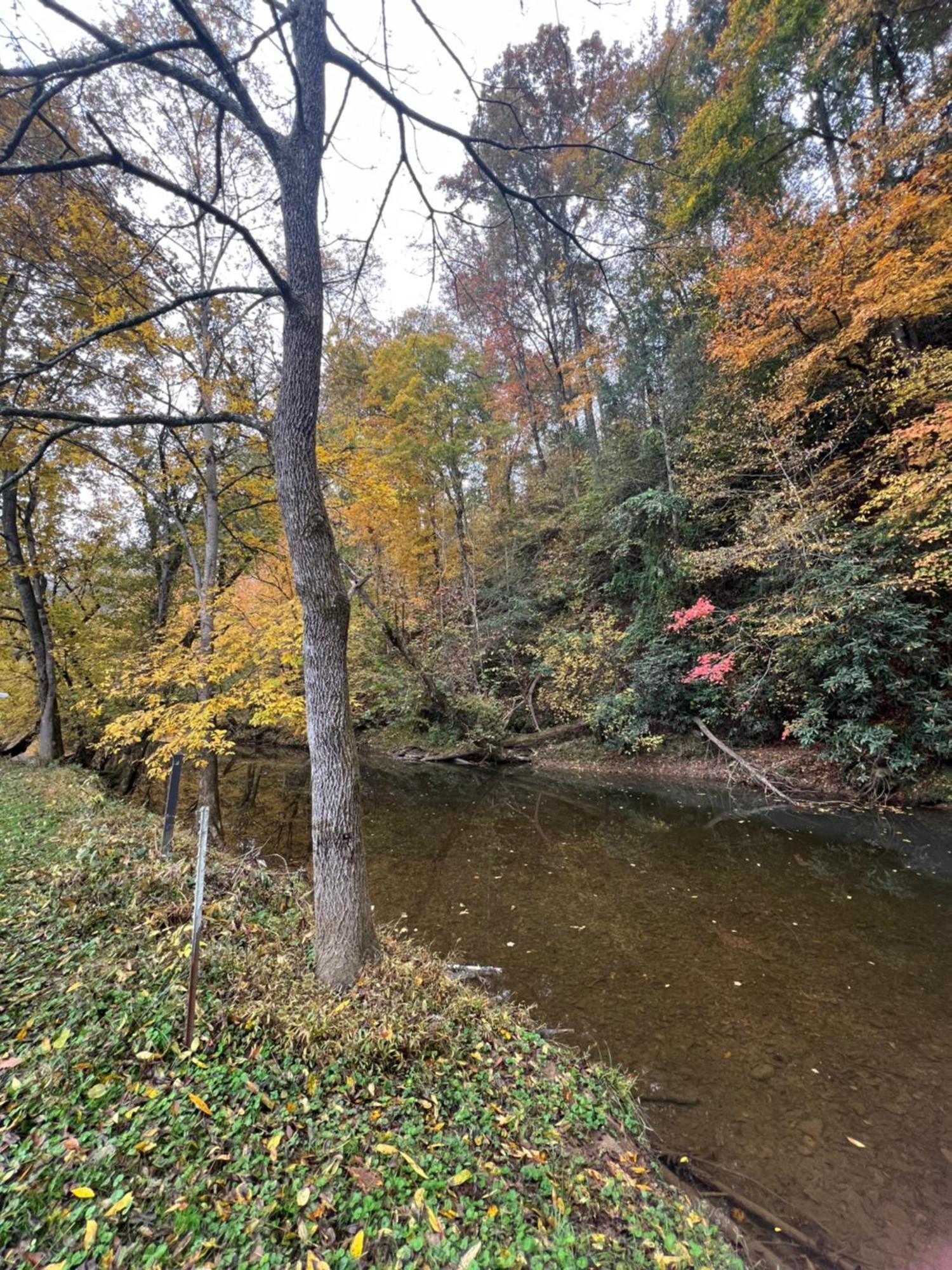 Firefly Fields 2-Acres With Guest House, Game Room, Mountain & River Views Sevierville Kültér fotó